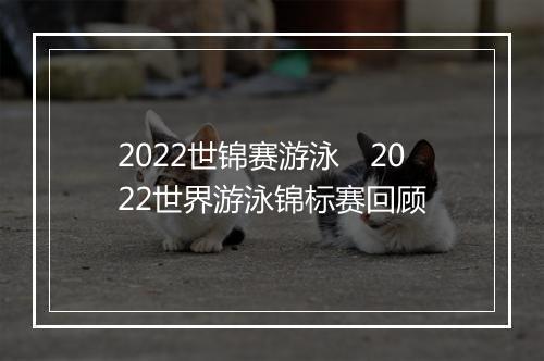 2022世锦赛游泳　2022世界游泳锦标赛回顾